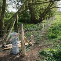 2017-04-23 Dedham Hall Farm 20 2017-04-23 Dedham Hall Farm 20