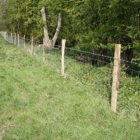 2017-04-23 Dedham Hall Farm 21 2017-04-23 Dedham Hall Farm 21