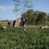 2017-04-23 Dedham Hall Farm 27 2017-04-23 Dedham Hall Farm 27