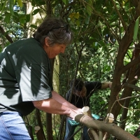 2017-05-21 Ickworth Park 02