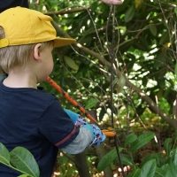 2017-05-21 Ickworth Park 03