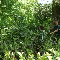 2017-05-21 Ickworth Park 05