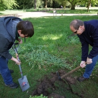 2017-05-21 Ickworth Park 12