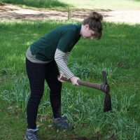 2017-05-21 Ickworth Park 13