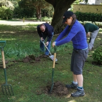 2017-05-21 Ickworth Park 14
