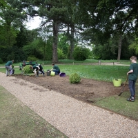2017-05-21 Ickworth Park 16