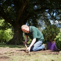 2017-05-21 Ickworth Park 22