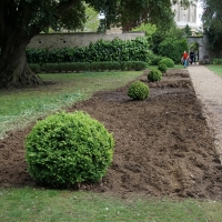 2017-05-21 Ickworth Park 23