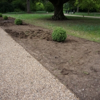 2017-05-21 Ickworth Park 24