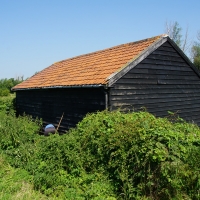 2017-06-18 Bridges Farm 03