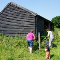 2017-06-18 Bridges Farm 05