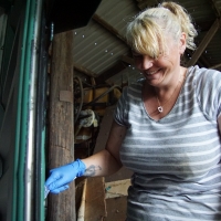 2017-06-18 Bridges Farm 14