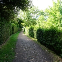 2017-07-02 Ickworth Park 01 2017-07-02 Ickworth Park 01