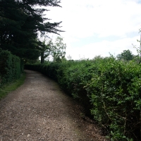2017-07-02 Ickworth Park 02 2017-07-02 Ickworth Park 02