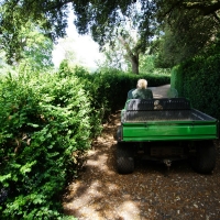 2017-07-02 Ickworth Park 04 2017-07-02 Ickworth Park 04