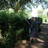2017-07-02 Ickworth Park 06 2017-07-02 Ickworth Park 06
