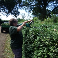 2017-07-02 Ickworth Park 08 2017-07-02 Ickworth Park 08