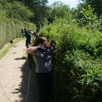 2017-07-02 Ickworth Park 13 2017-07-02 Ickworth Park 13