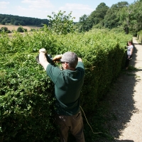 2017-07-02 Ickworth Park 14 2017-07-02 Ickworth Park 14
