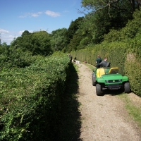 2017-07-02 Ickworth Park 15 2017-07-02 Ickworth Park 15