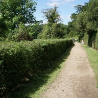 2017-07-02 Ickworth Park 16 2017-07-02 Ickworth Park 16