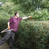 SNTV Task - Ickworth Park