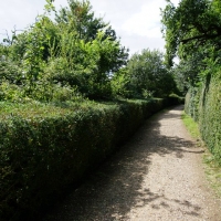 SNTV Task - Ickworth Park