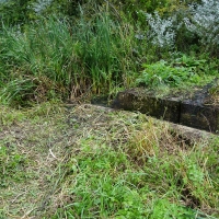 2017-09-10 Flatford Mill 29