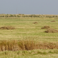 2017-09-24 Orford Ness 09