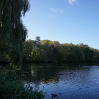 2017-11-05 Bourne Mill 07