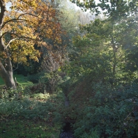 2017-11-05 Bourne Mill 08