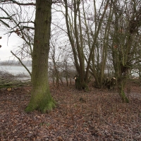 SNTV Task - Dedham Hall Farm SNTV Task - Dedham Hall Farm