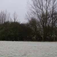 SNTV Task - Dedham Hall Farm SNTV Task - Dedham Hall Farm