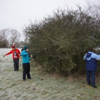 SNTV Task - Dedham Hall Farm SNTV Task - Dedham Hall Farm