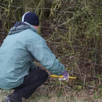 SNTV Task - Dedham Hall Farm SNTV Task - Dedham Hall Farm