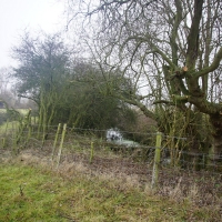 SNTV Task - Dedham Hall Farm SNTV Task - Dedham Hall Farm