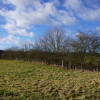 SNTV 2018-02-11 Dedham Hall Farm 02 SNTV 2018-02-11 Dedham Hall Farm 02
