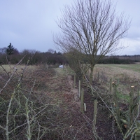 SNTV 2018-02-11 Dedham Hall Farm 24 SNTV 2018-02-11 Dedham Hall Farm 24