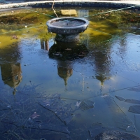 SNTV 2018-02-25 Melford Hall 06