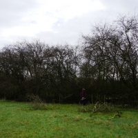 SNTV 2018-03-11 Lower Barn Farm 02