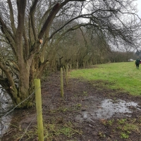 SNTV 2018-03-11 Lower Barn Farm 16