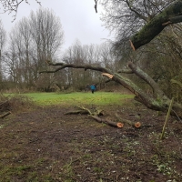 SNTV 2018-03-11 Lower Barn Farm 17