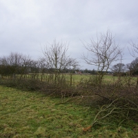 SNTV 2018-03-11 Lower Barn Farm 21