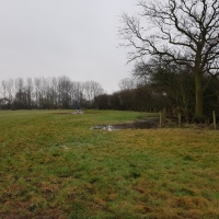 SNTV 2018-03-11 Lower Barn Farm 22