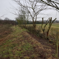 SNTV 2018-03-11 Lower Barn Farm 23
