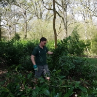 SNTV 2018-04-22 Ickworth 06 SNTV 2018-04-22 Ickworth 06