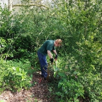 SNTV 2018-04-22 Ickworth 07 SNTV 2018-04-22 Ickworth 07