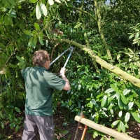 SNTV 2018-04-22 Ickworth 09 SNTV 2018-04-22 Ickworth 09