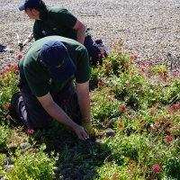 SNTV 2018-07-01 Orford Ness 04