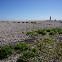 SNTV 2018-07-01 Orford Ness 05